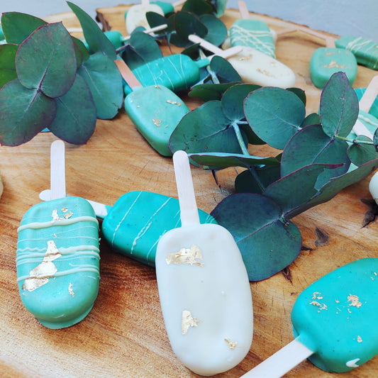 Workshop Cakesicles